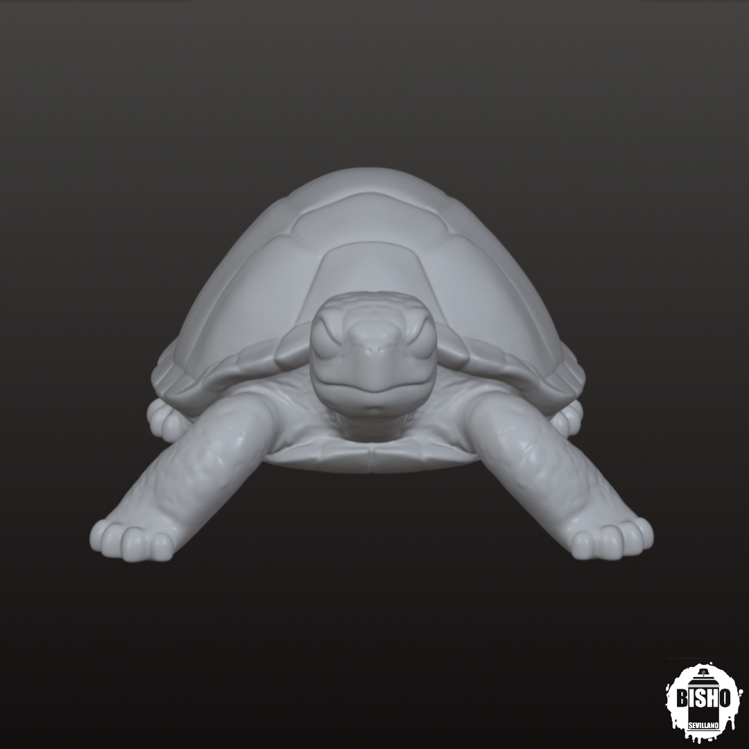 Image Diseño digital de Tortuga 3D, Archivo STL y OBJ, para impresión 3D