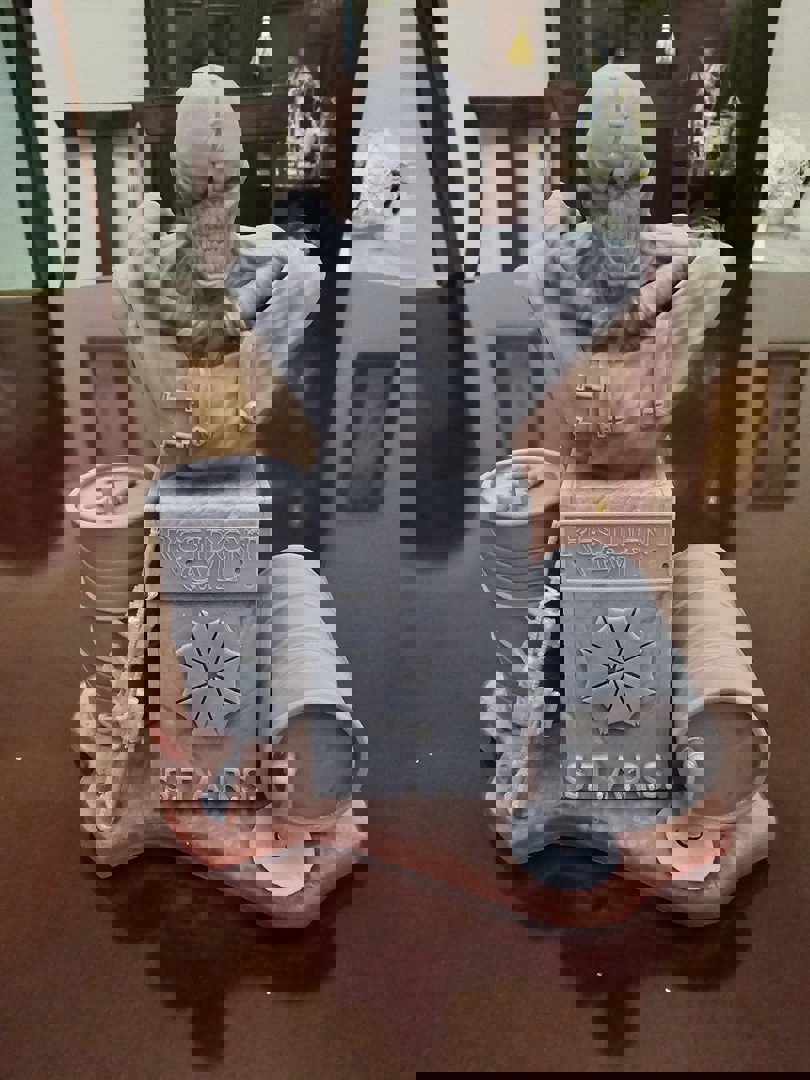 Image nemesis bust