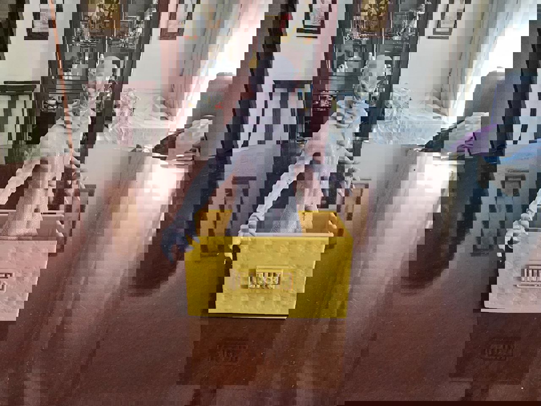 Image Jack in the box Fan art