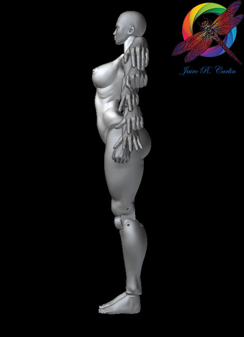 Image Atletic Articulate Female Body