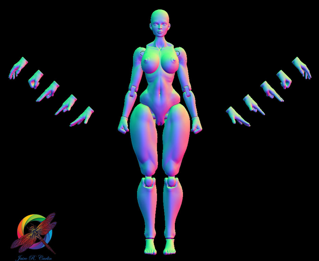 Image Atletic Articulate Female Body