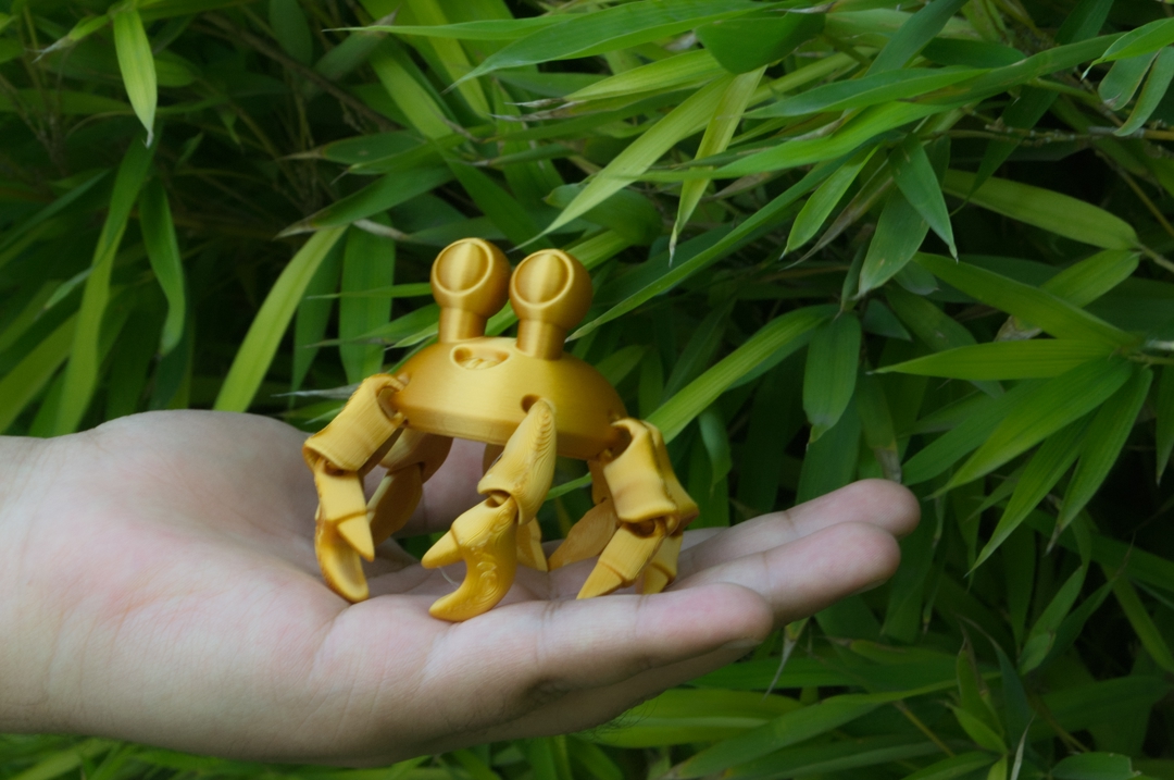 Model image FLEXY CUTE CRAB - PRINT IN PLACE NO SUPPORT