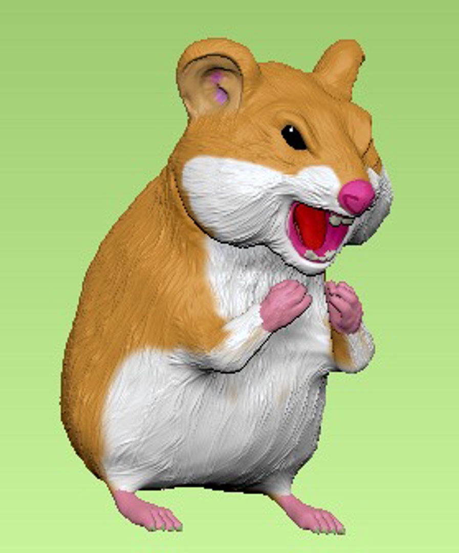 Model image RATON ENOJADO