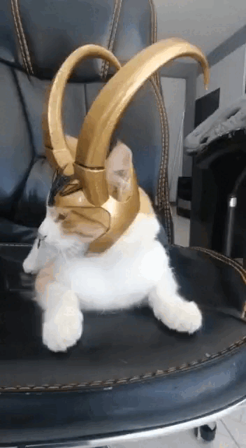 Image LOKI CAT-MASK
