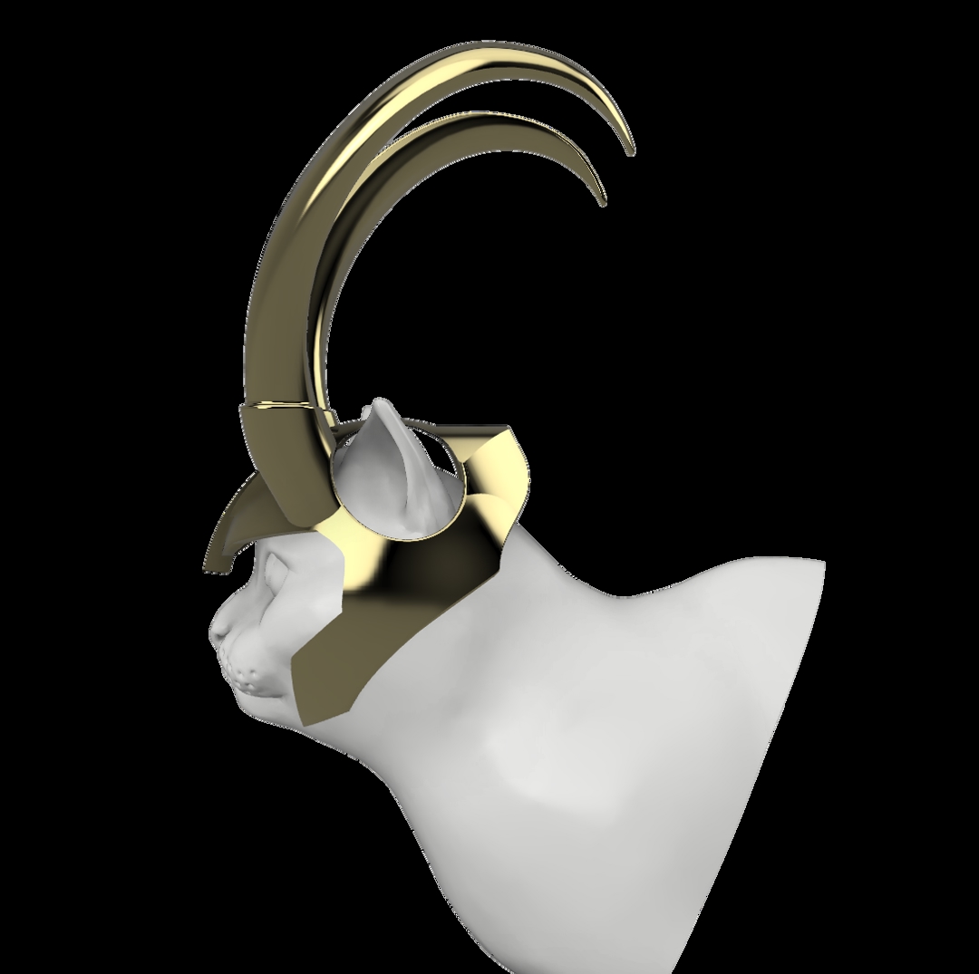 Image LOKI CAT-MASK