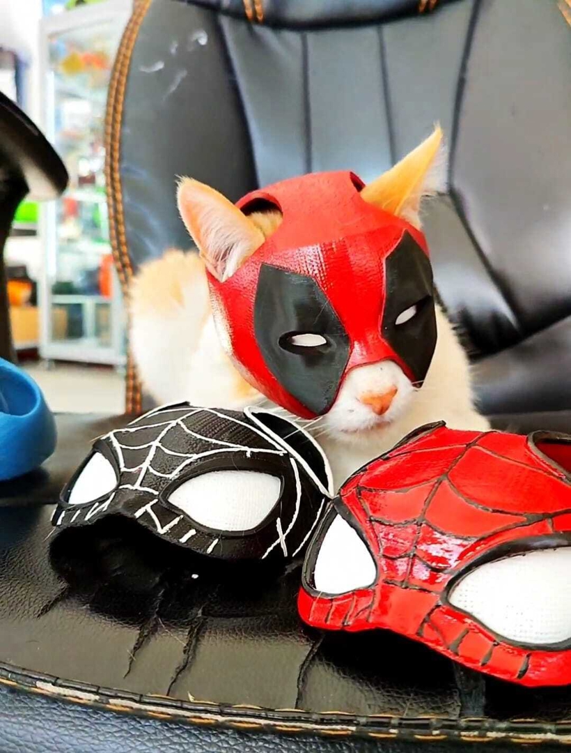 Image CATPOOL (DEADPOOL)