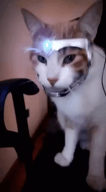 Image SUPERIOR IRONCAT