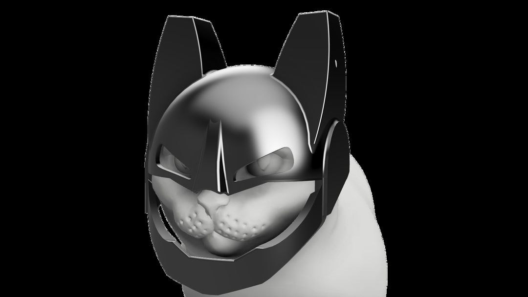 Image BATMAN CAT -MASK