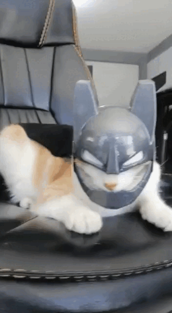 Image BATMAN CAT -MASK