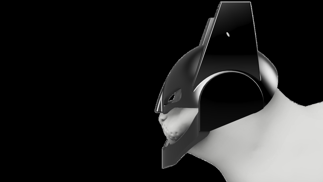 Image BATMAN CAT -MASK