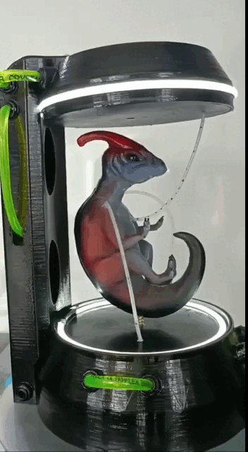 Image BABY PARASAUR CLONE