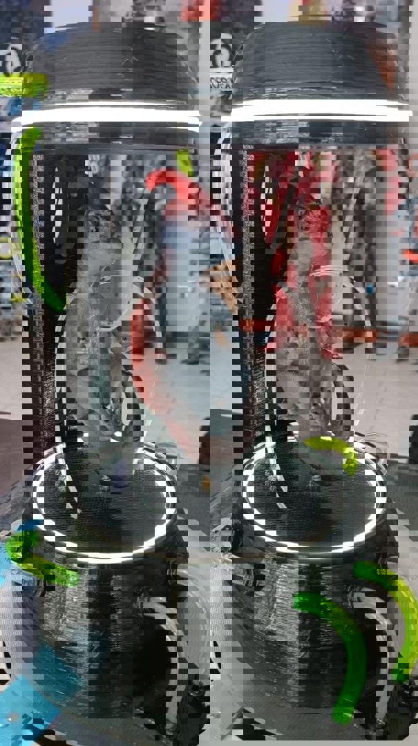 Image BABY PARASAUR CLONE