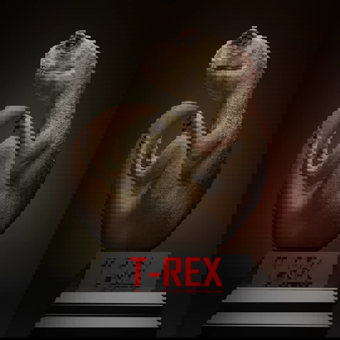 Image T-REX BABY CLONE