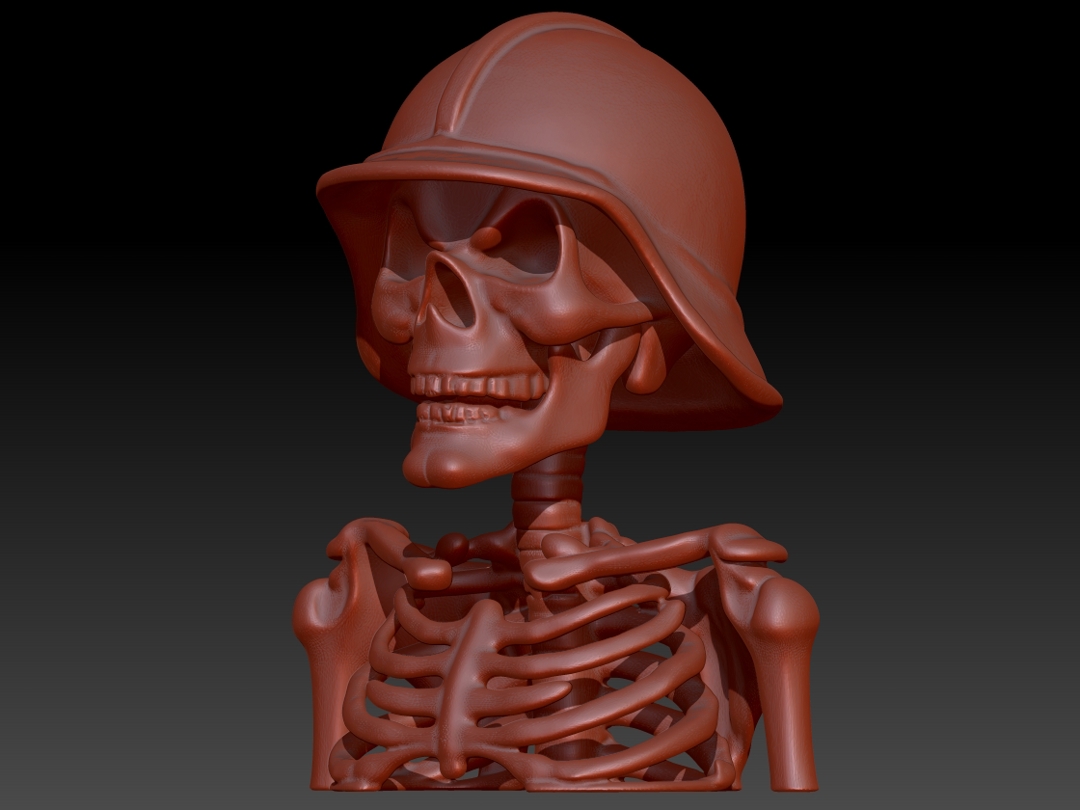 Image skeleton with helmet