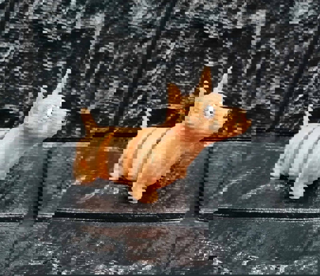 Image Articulated Dogs