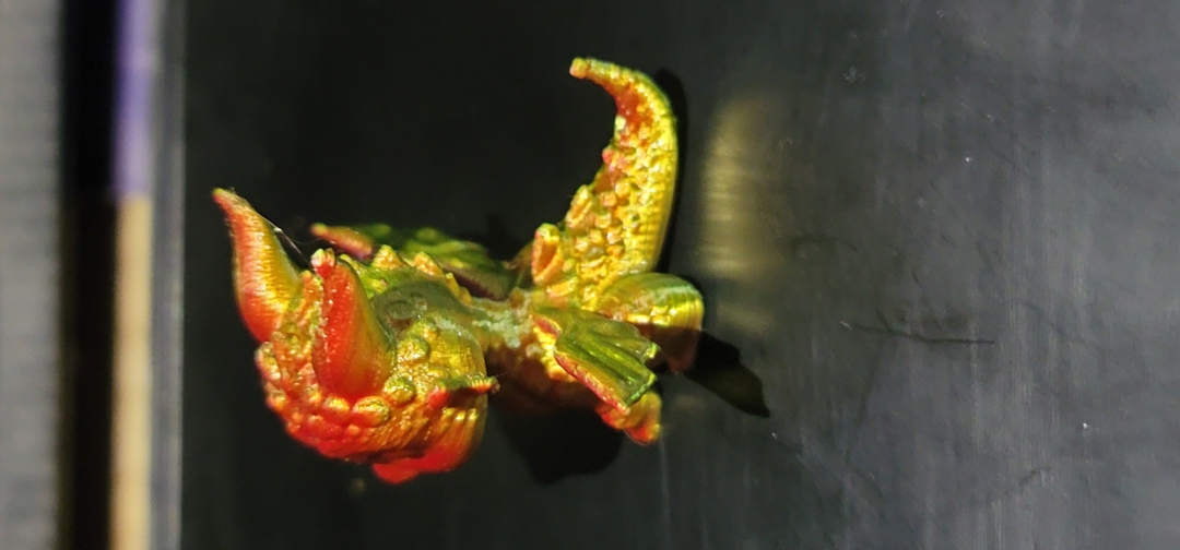Image dragon bebe 2
