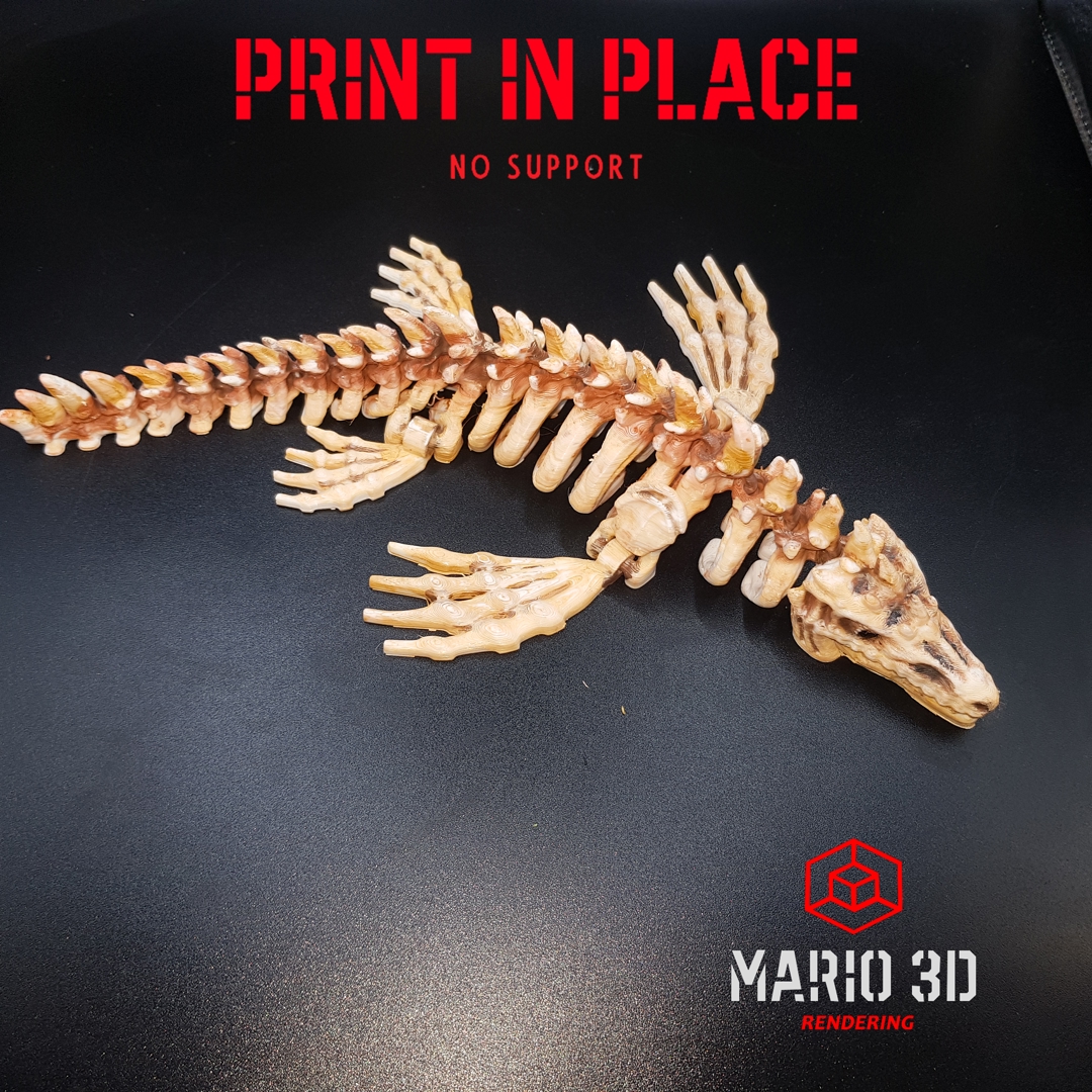 Image MOSASAURUS_SKELETON_PRINT_IN_PLACE_SKULL