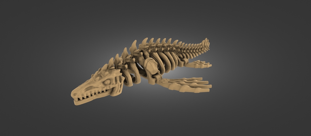 Image MOSASAURUS_SKELETON_PRINT_IN_PLACE_SKULL