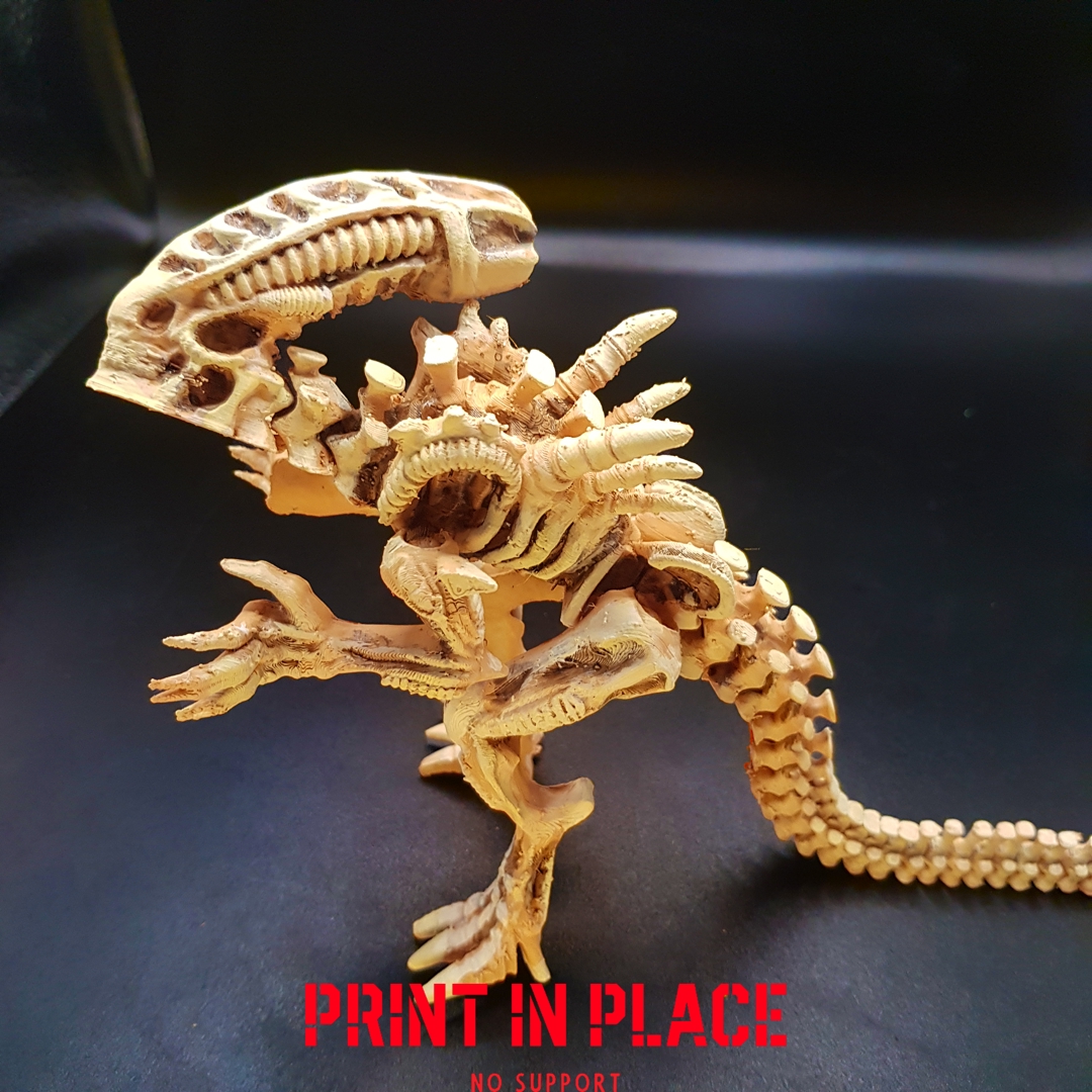 Image alien_skeleton