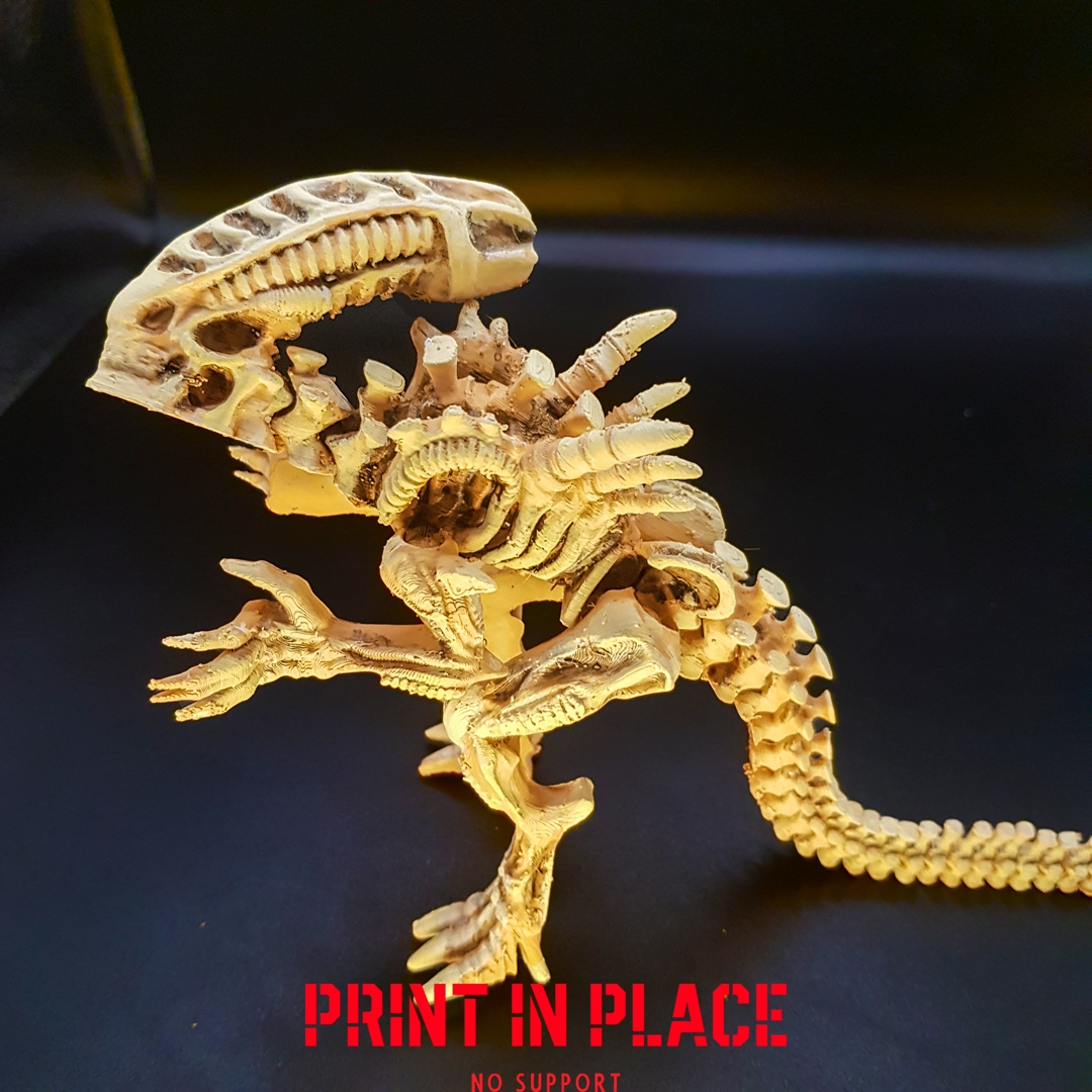 Image alien_skeleton