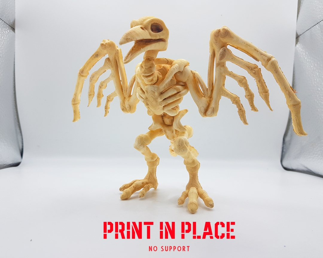 Image cuervo_for_Halloween