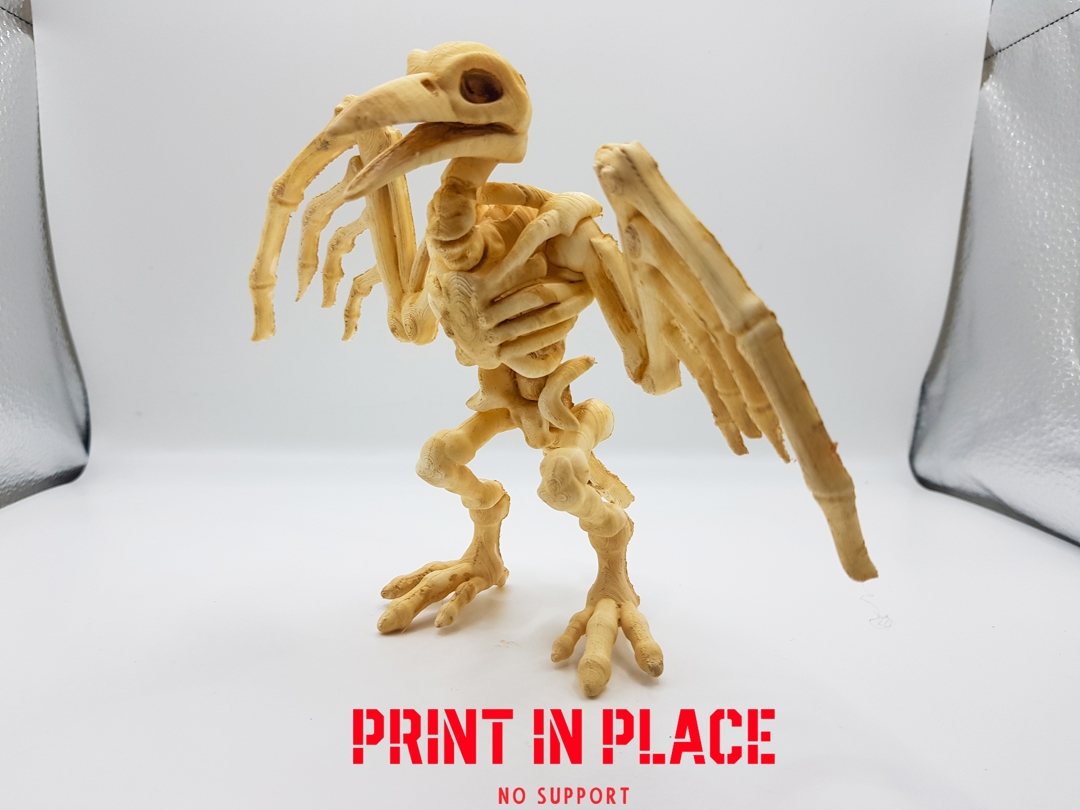 Image cuervo_for_Halloween