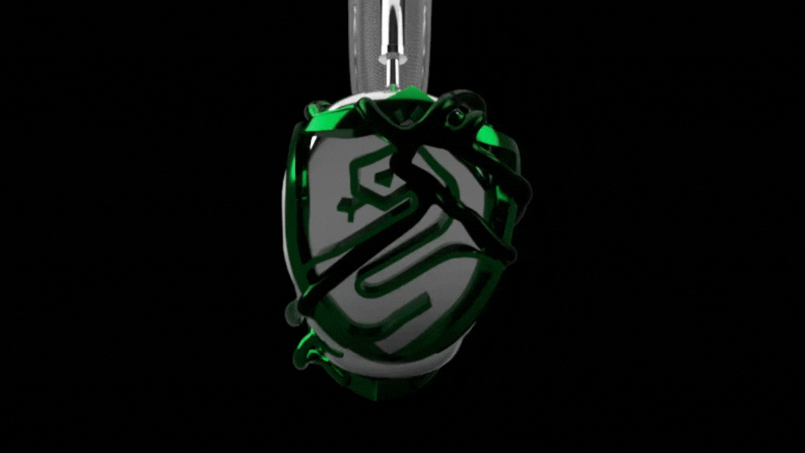 Model image SLYTHERIN (AIRPODS MAX CASE HARRY POTTER)