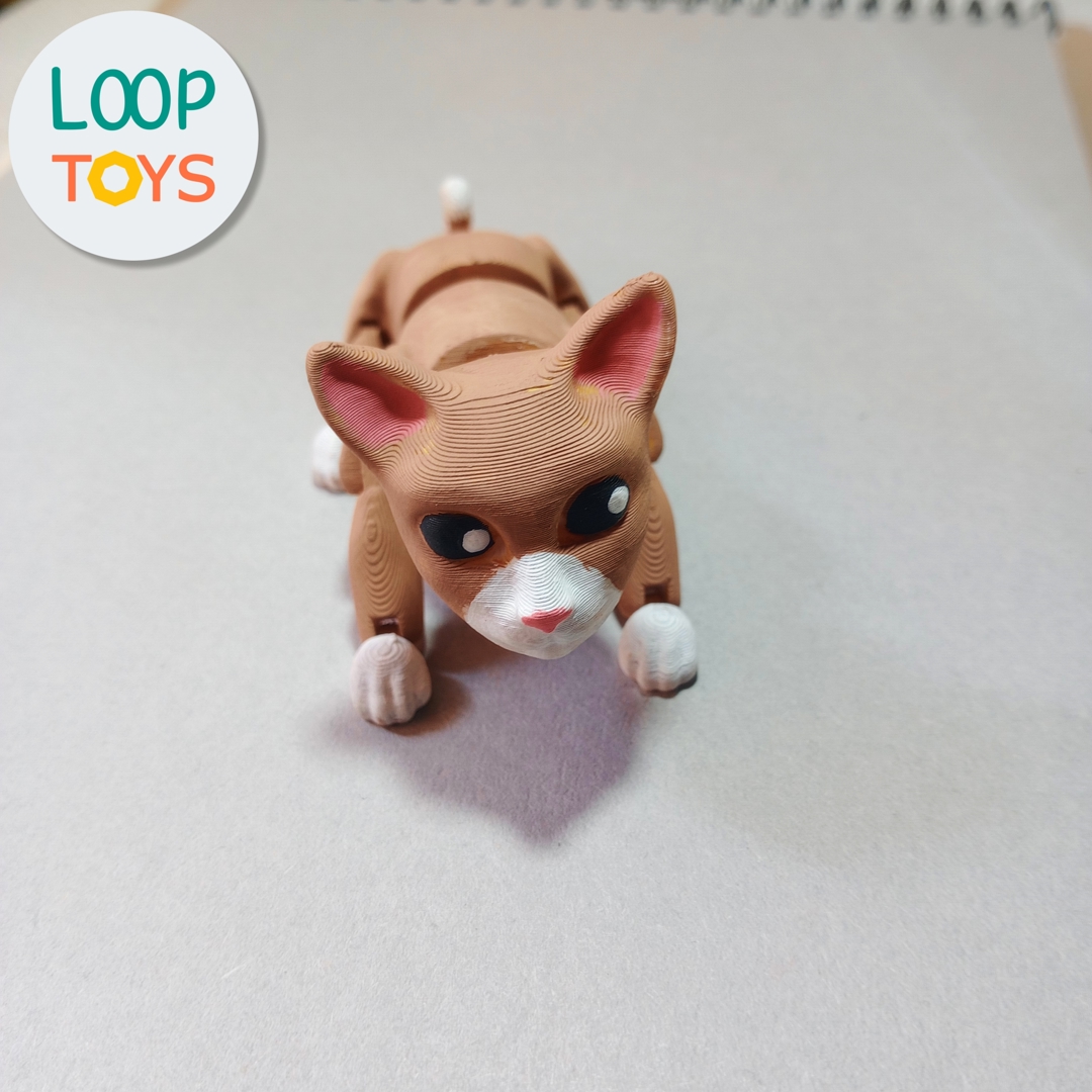 Image Flexible Cat - Articulated 3D Toy