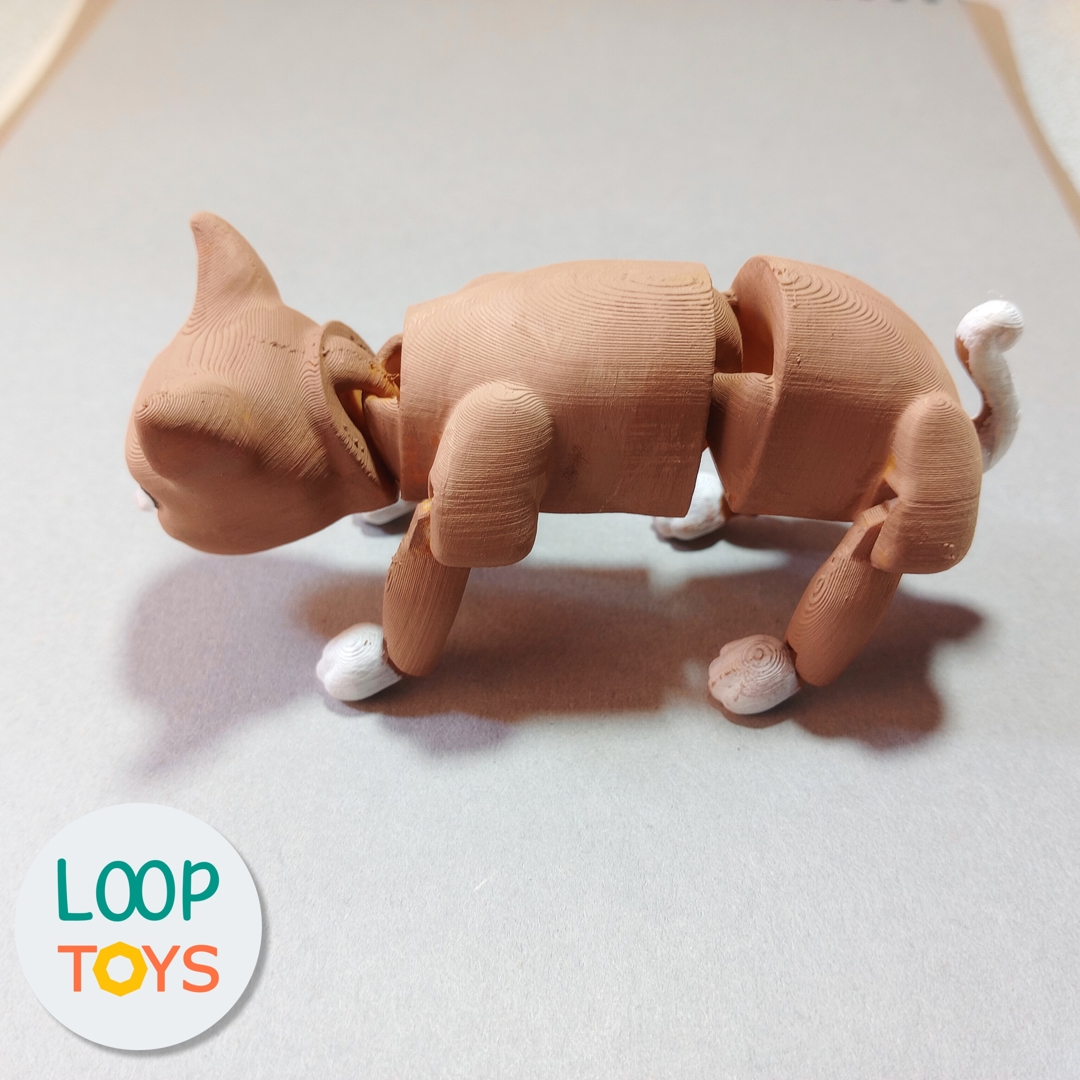 Image Flexible Cat - Articulated 3D Toy