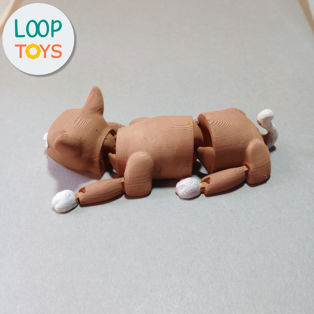 Image Flexible Cat - Articulated 3D Toy
