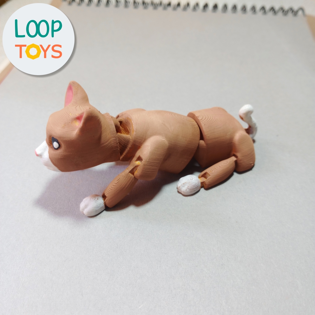 Image Flexible Cat - Articulated 3D Toy