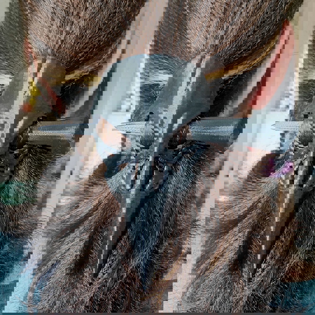 Model image CROW SKULL FOR HAIR