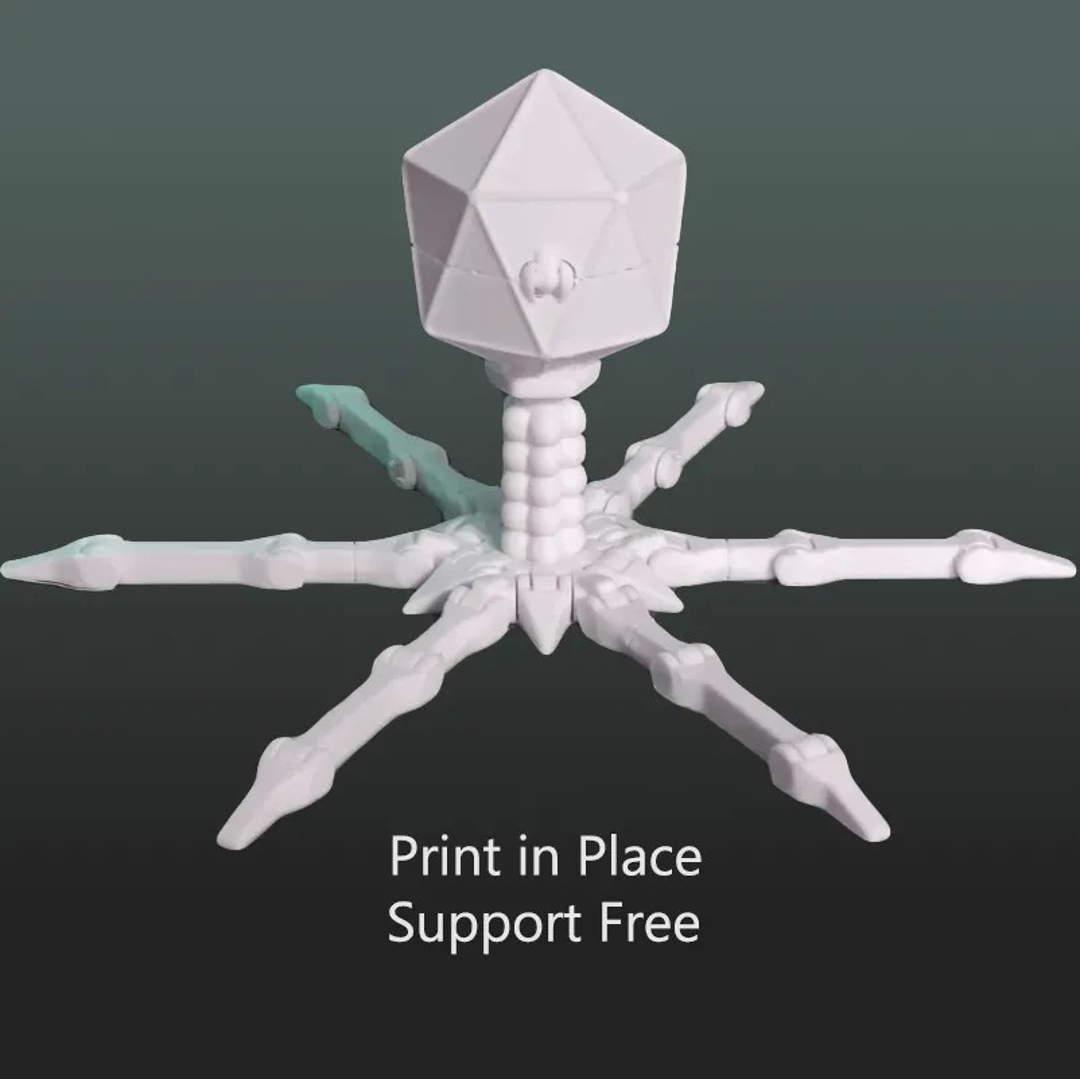 Image Cute Flexi Bacteriophage T4