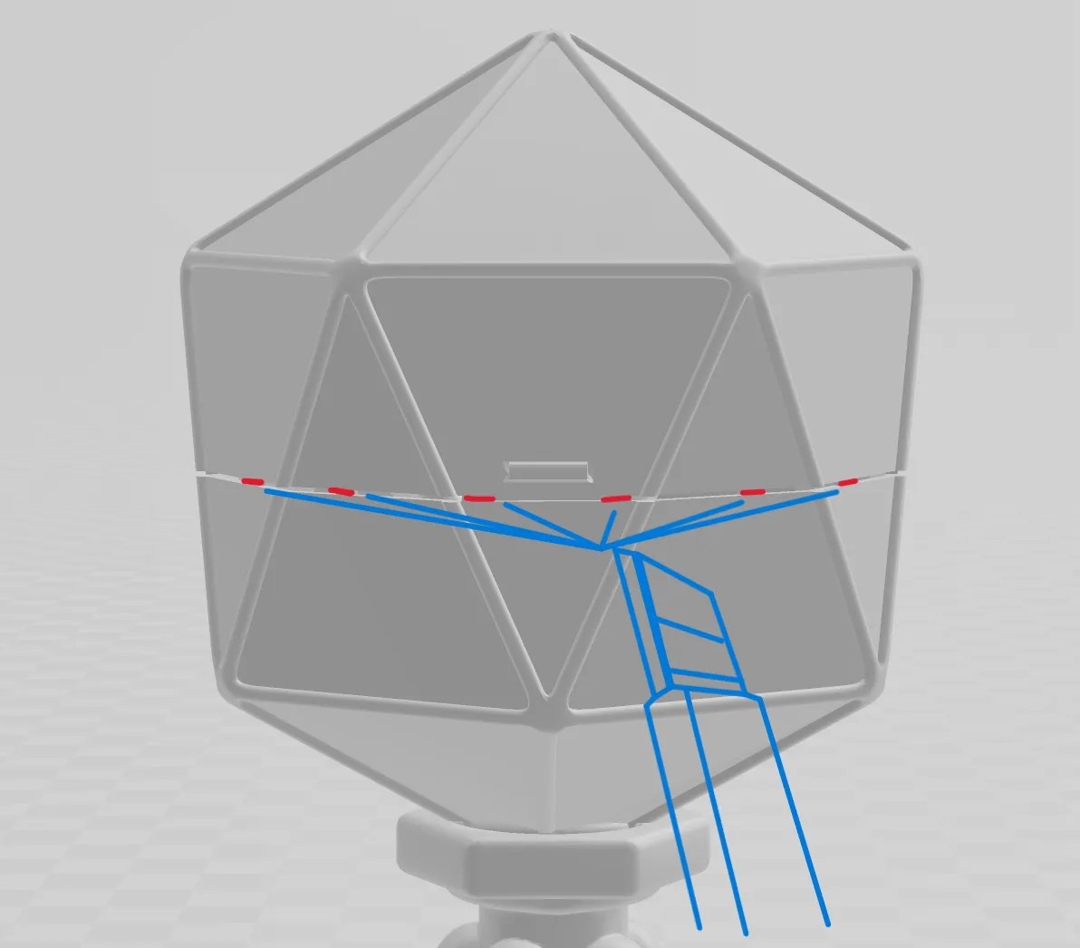 Image Cute Flexi Bacteriophage T4