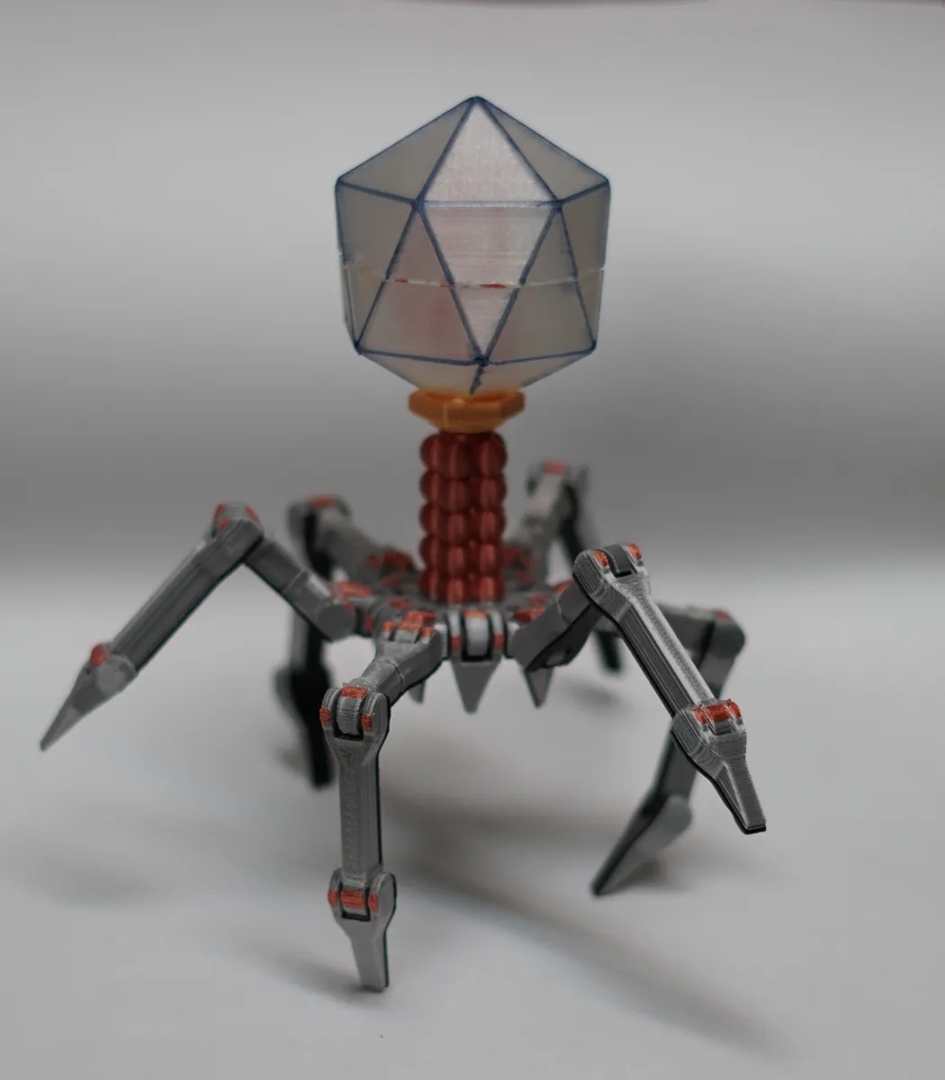 Image Cute Flexi Bacteriophage T4