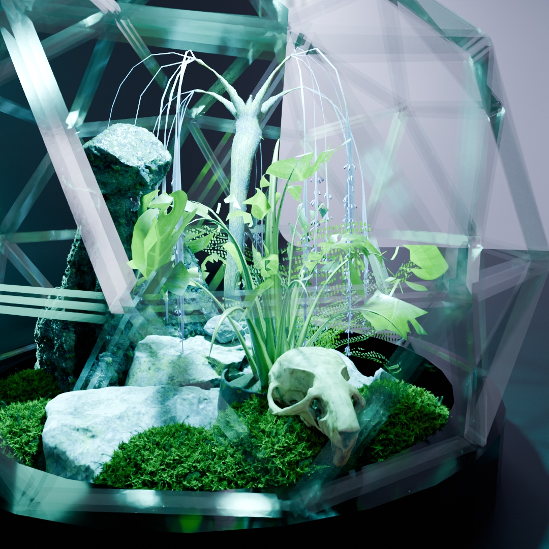 Image Geodesic Terrarium Dome 3/4 V2