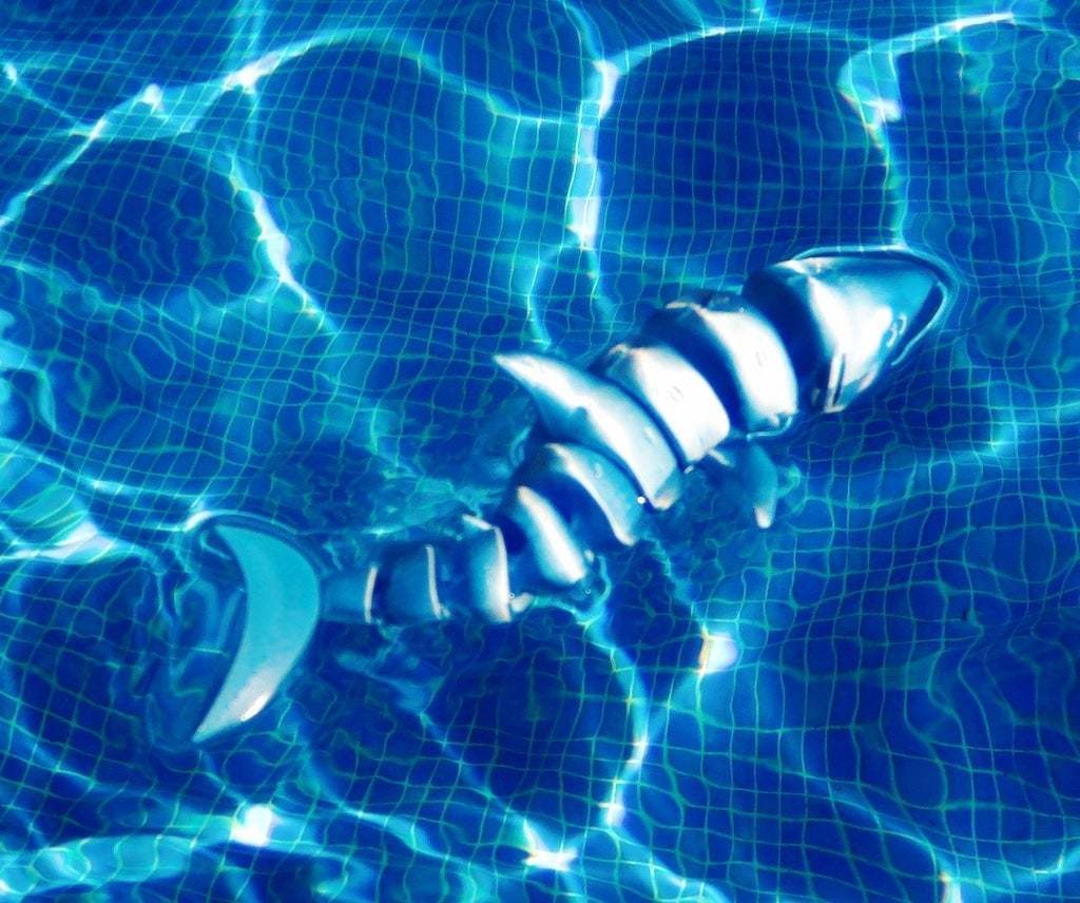 Image ARTICULATED SHARK