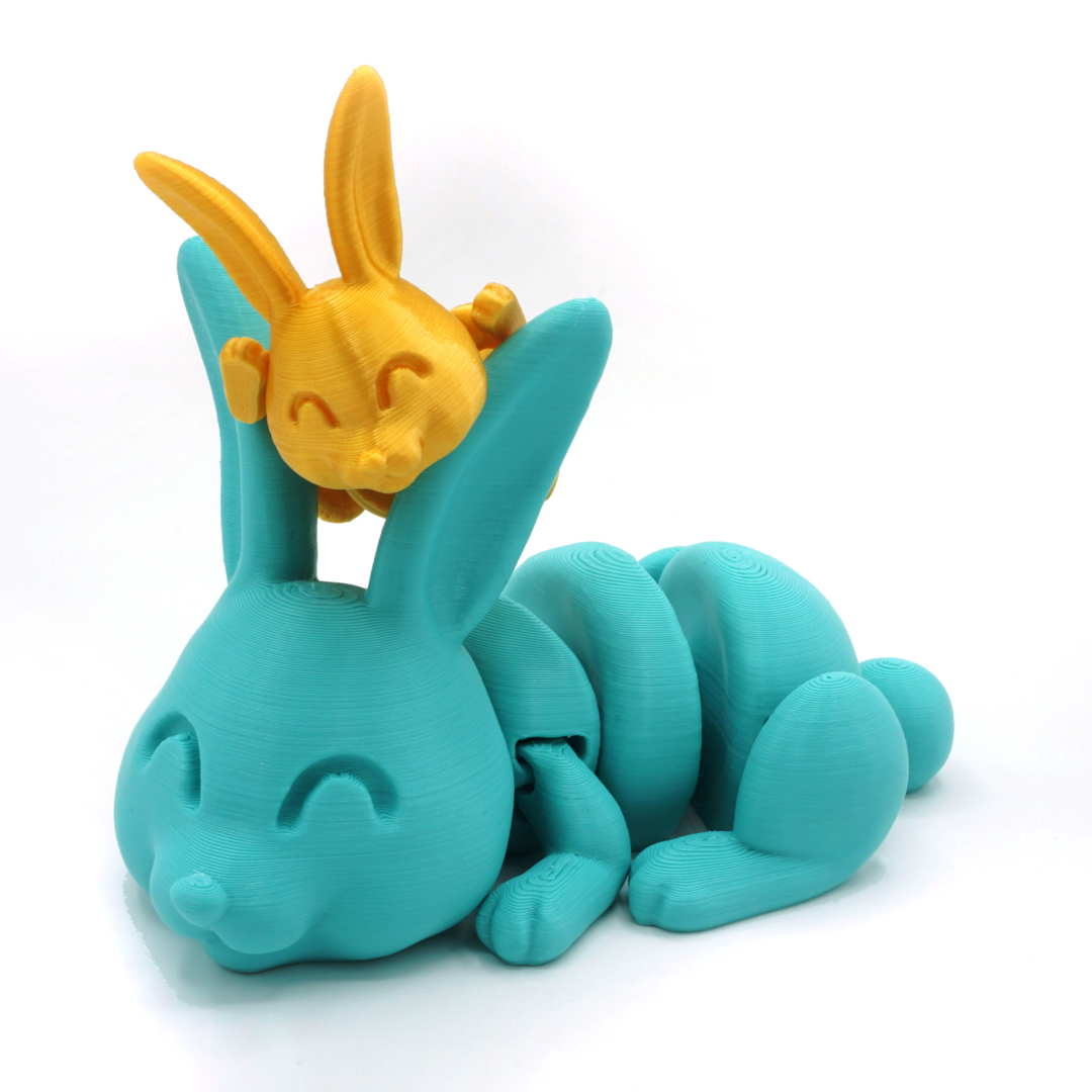 Image Articulated Bunny