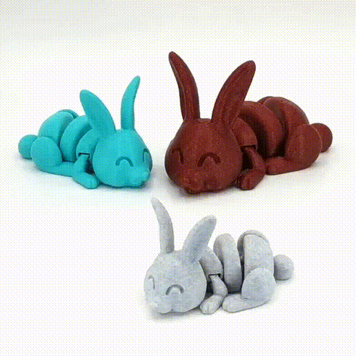 Image Articulated Bunny