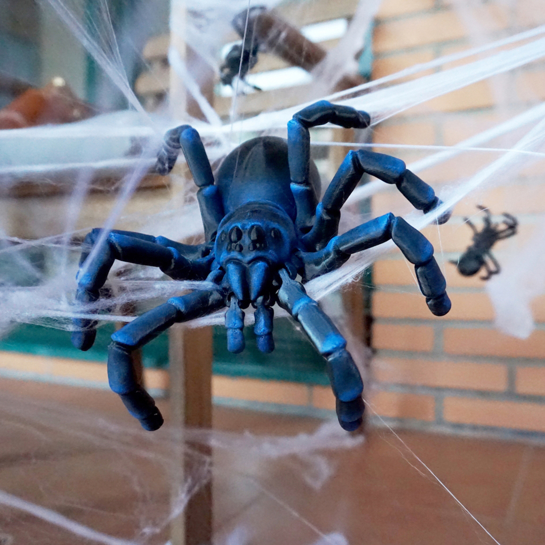 Image ARTICULATED TARANTULA