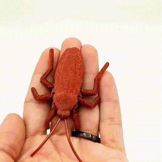 Image Articulated Roach