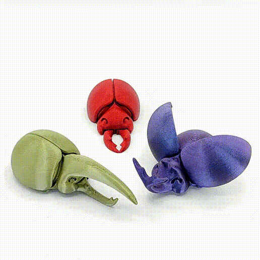 Image Happy Beetles