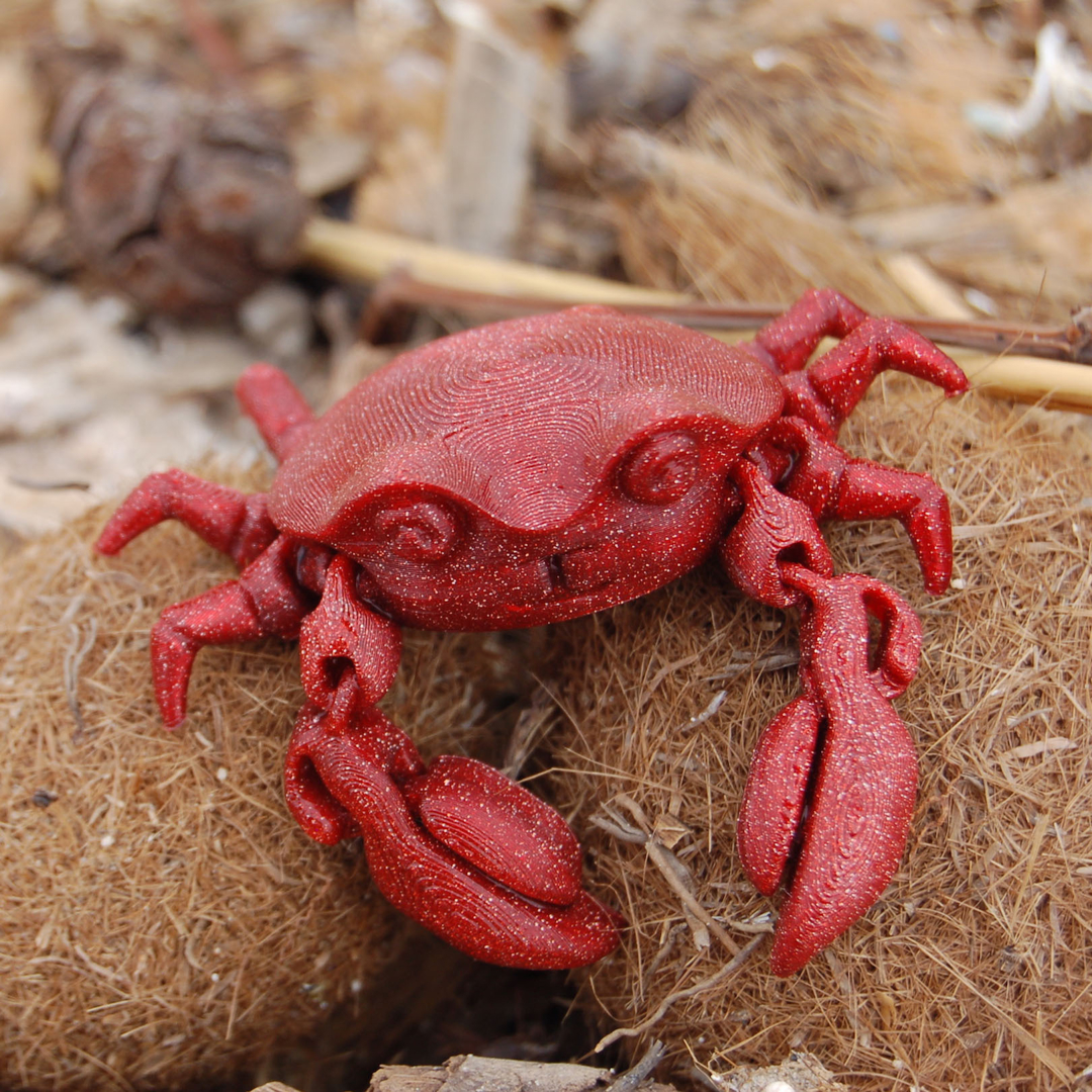 Image ARTICULATED CRAB