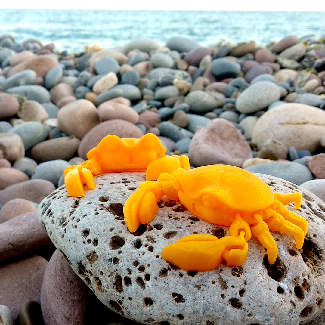 Image ARTICULATED CRAB