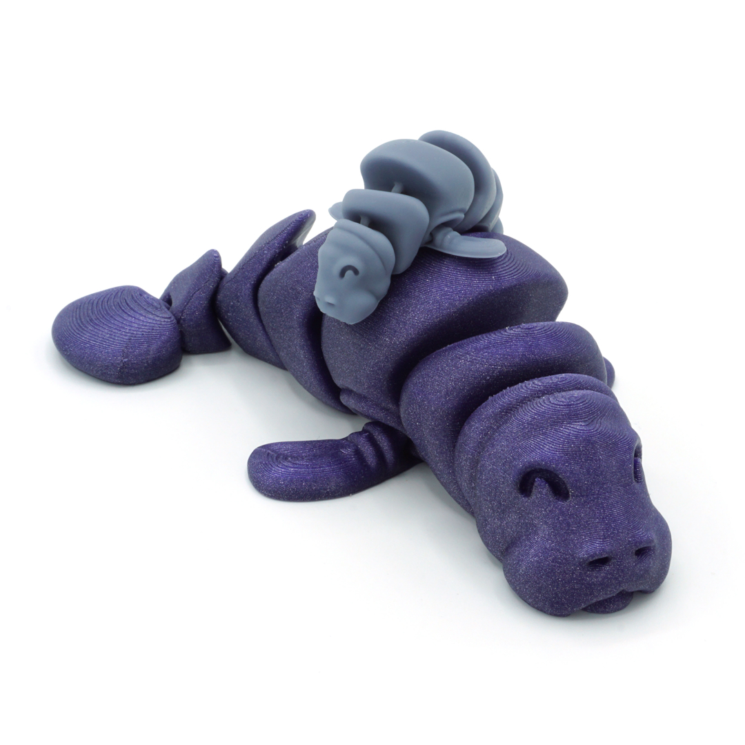Image articulated manatee