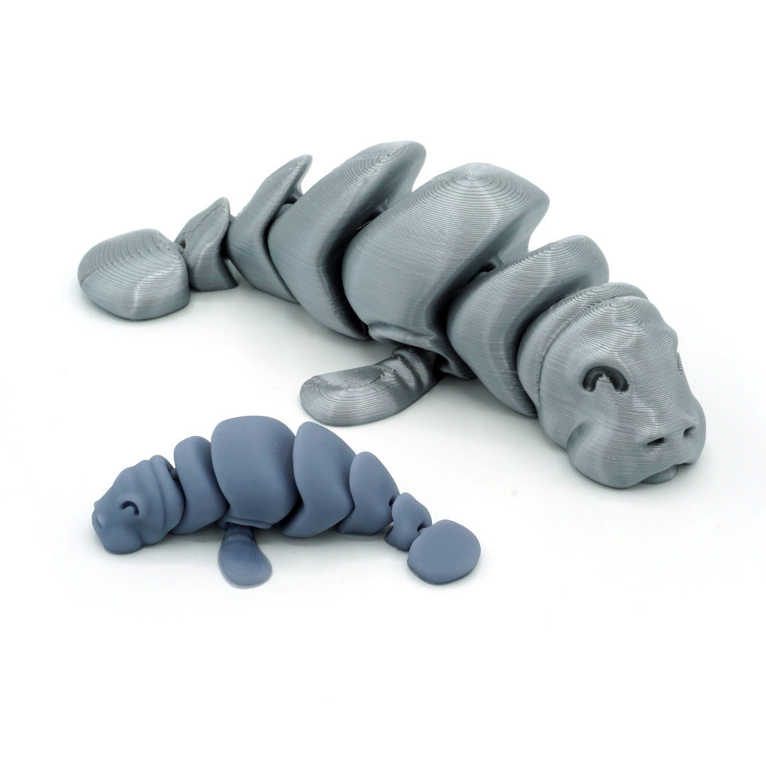 Image articulated manatee
