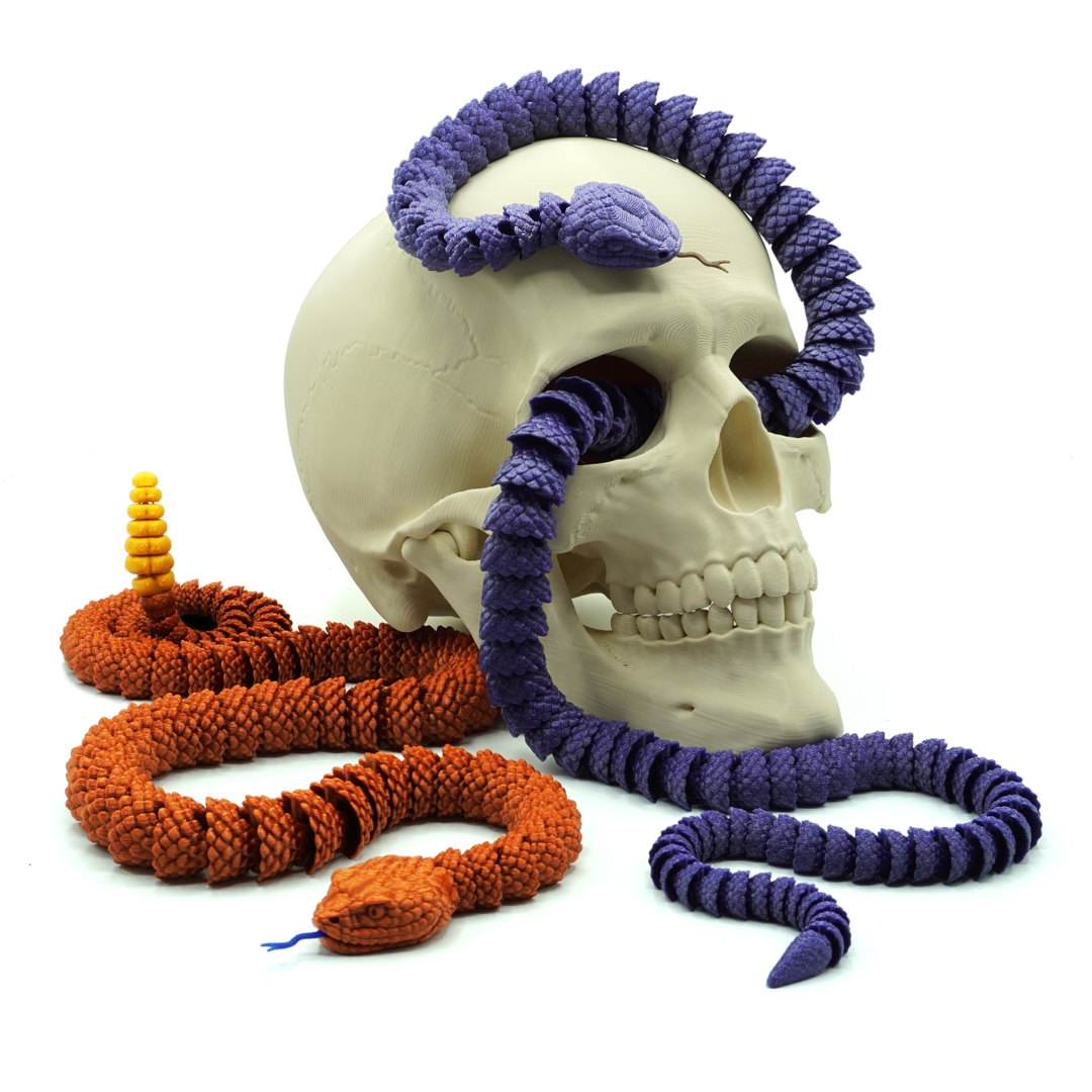 Image Snake and Rattlesnake