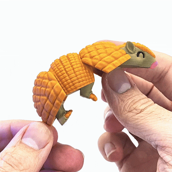 Image Articulated Armadillo
