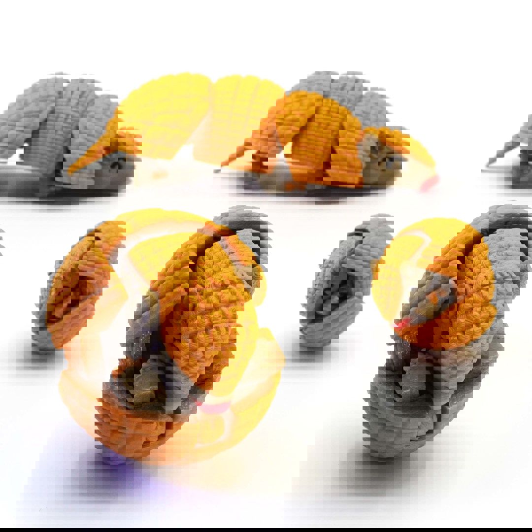 Image Articulated Armadillo