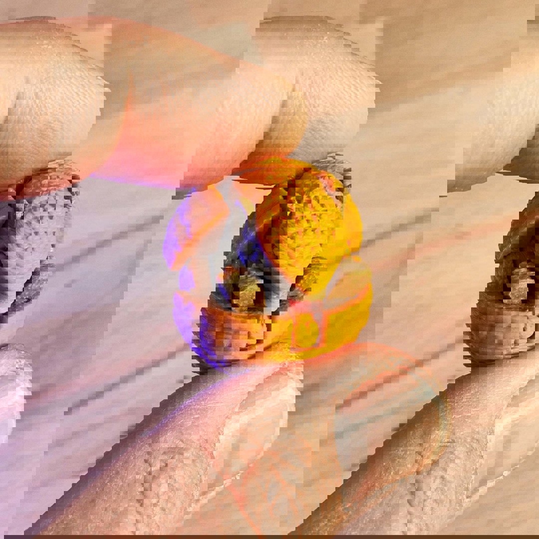 Image Articulated Armadillo